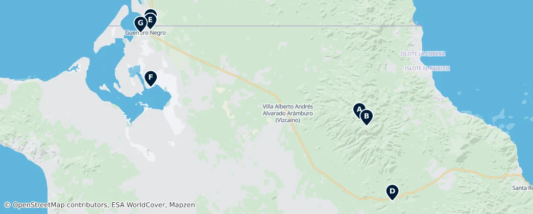 El Vizcaíno Best Of – Mapa