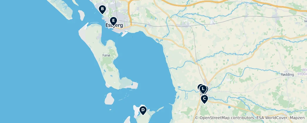 Karte von Esbjerg Essentials