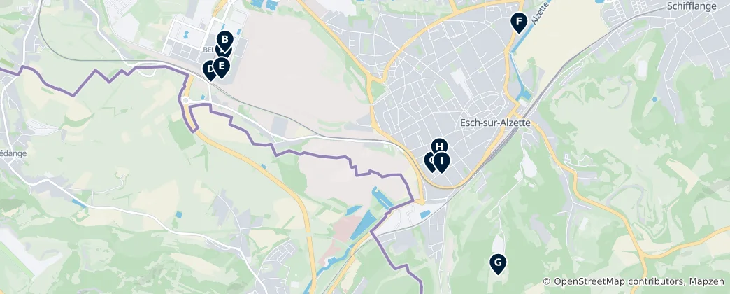 Mappa di Esch-sur-Alzette Essentials