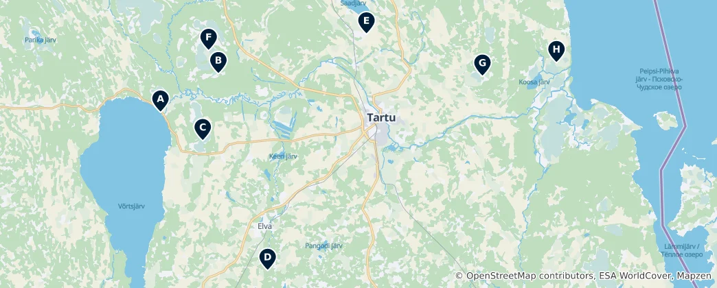 Carte de Bogs and Observation Towers