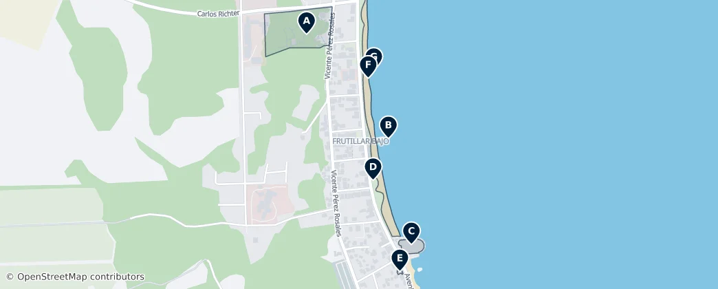 Frutillar Essentials — Map