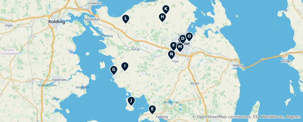 Mappa di Historic Churches of Funen