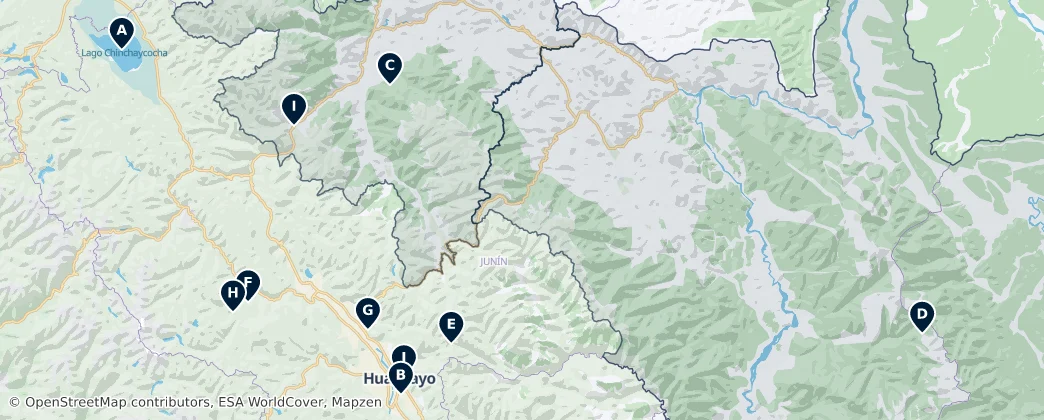 Junín Essentials — Mapa