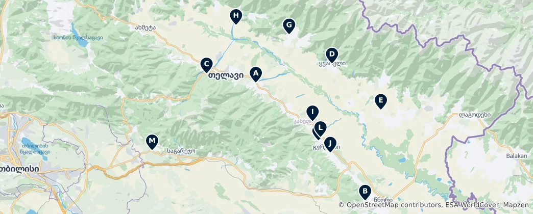 Georgian Wine Havens 지도