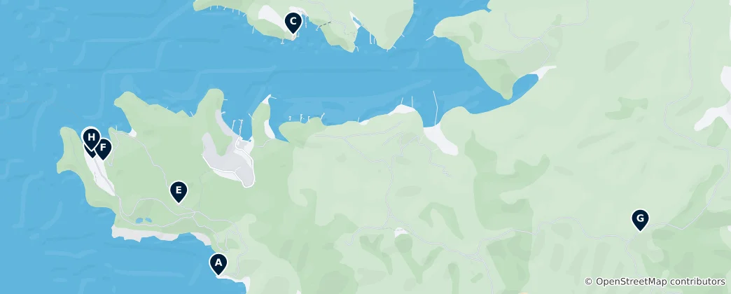 Mapa Kawau Island Essentials