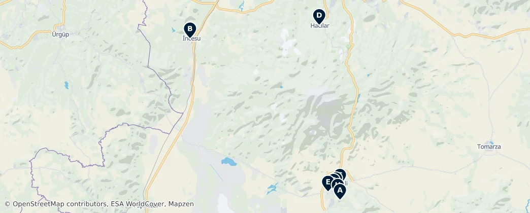 Historic Mosques — Carte