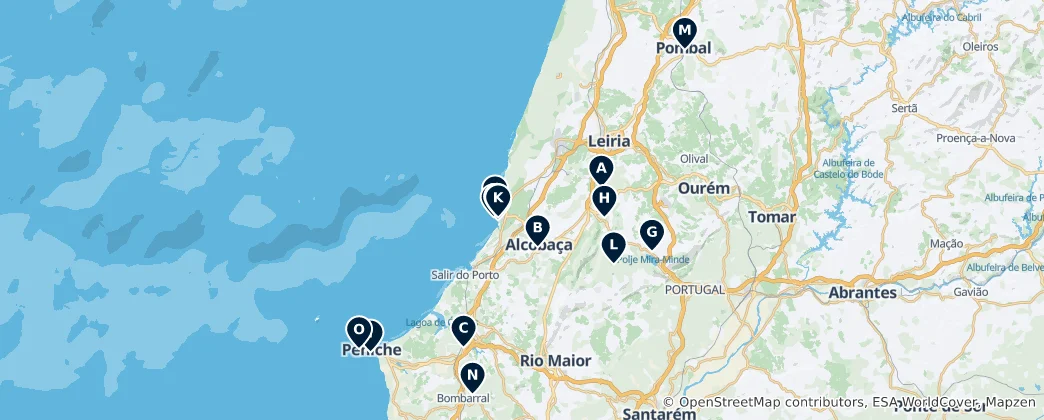 Mapa Leiria District Essentials