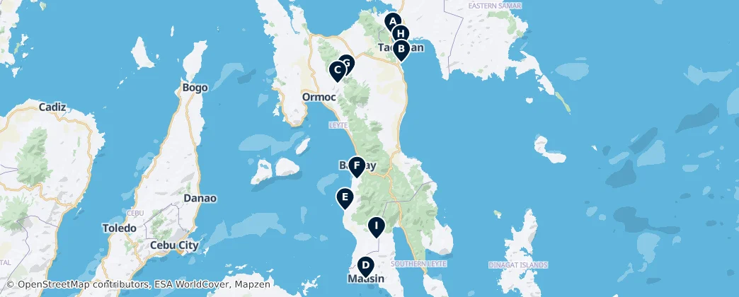 Leyte Essentials — Karte