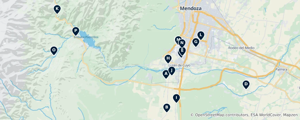 Map of Argentinian Wineries and Cuisine