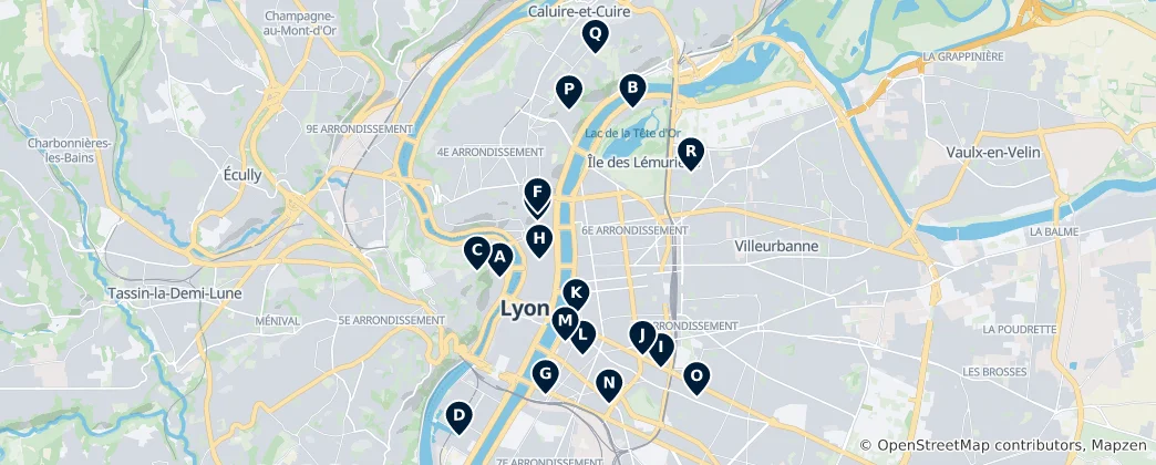 Carte de Musées et galeries de Lyon