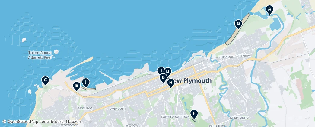 New Plymouth City Ward Essentials — Karte