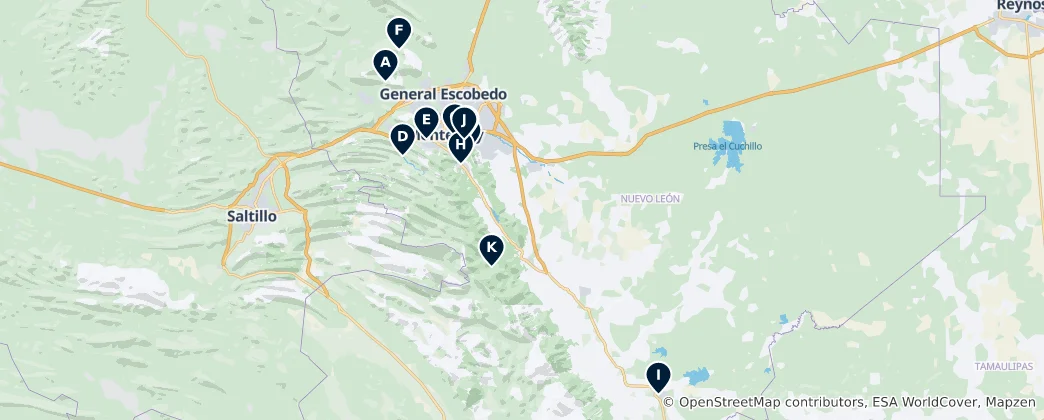 Karte von Nuevo Leon Essentials