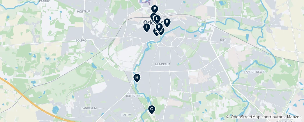 Mapa De Odense Essentials