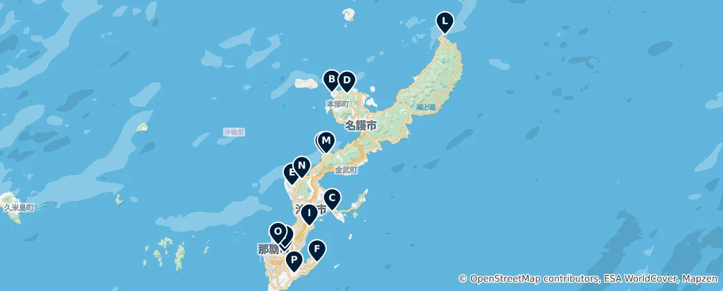 Mappa di Okinawa Island's Absolute Essentials