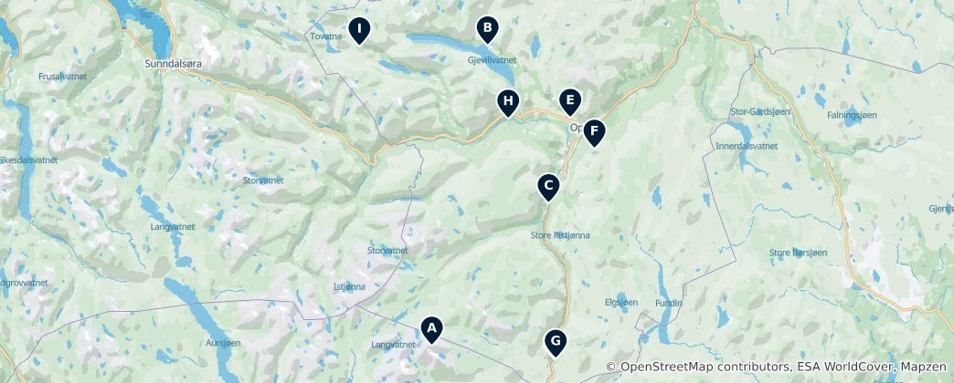 Oppdal Essentials 지도