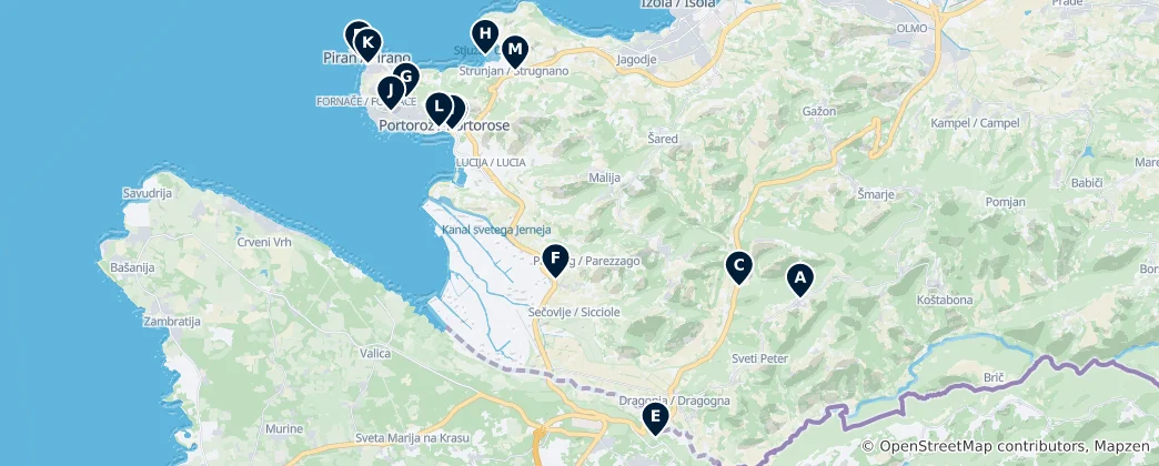Map of Authentic Regional Flavors