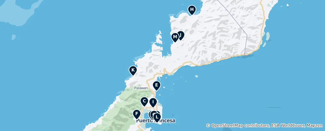 Mappa di Puerto Princesa City Essentials