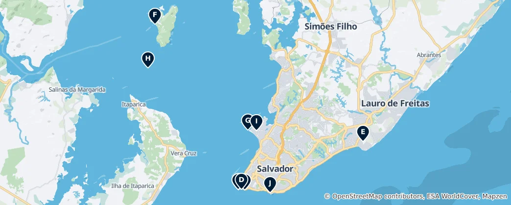 Mapa Salvador's Absolute Essentials