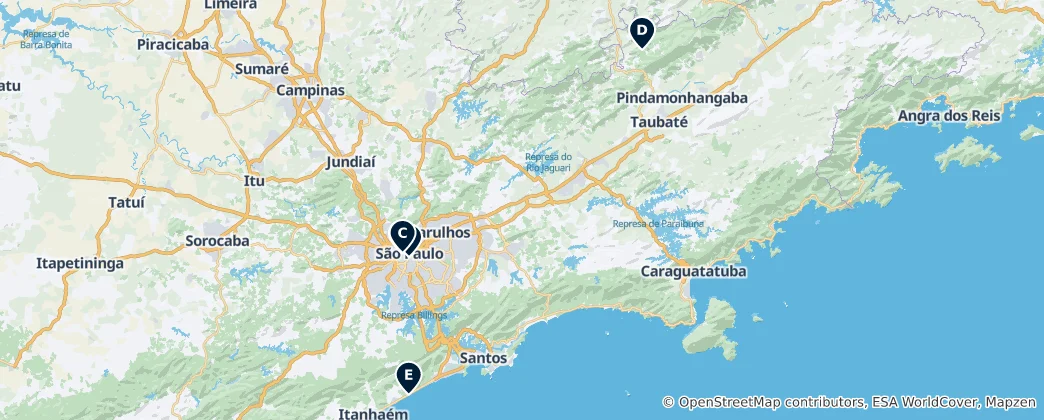 São Paulo Museums & Art Haritası