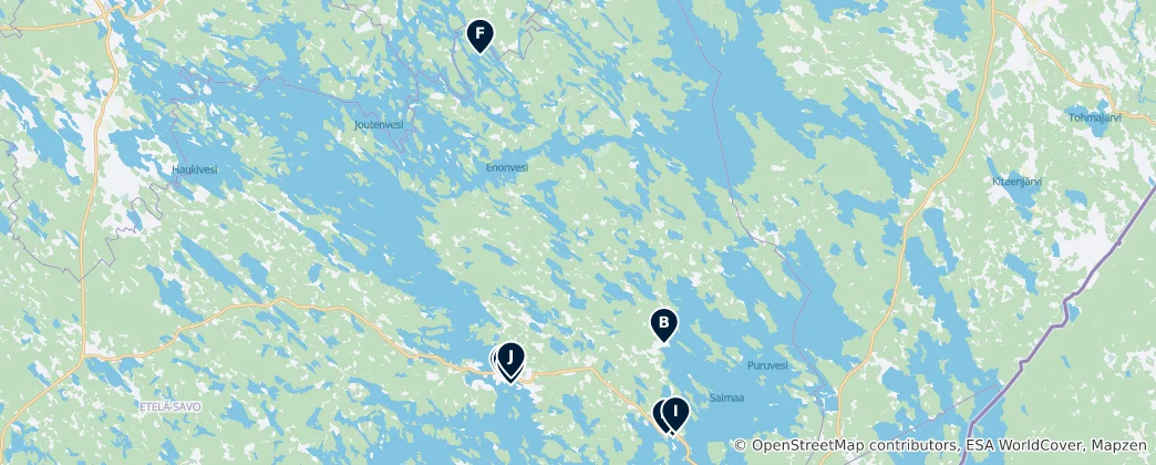 Mappa di Savonlinna Essentials