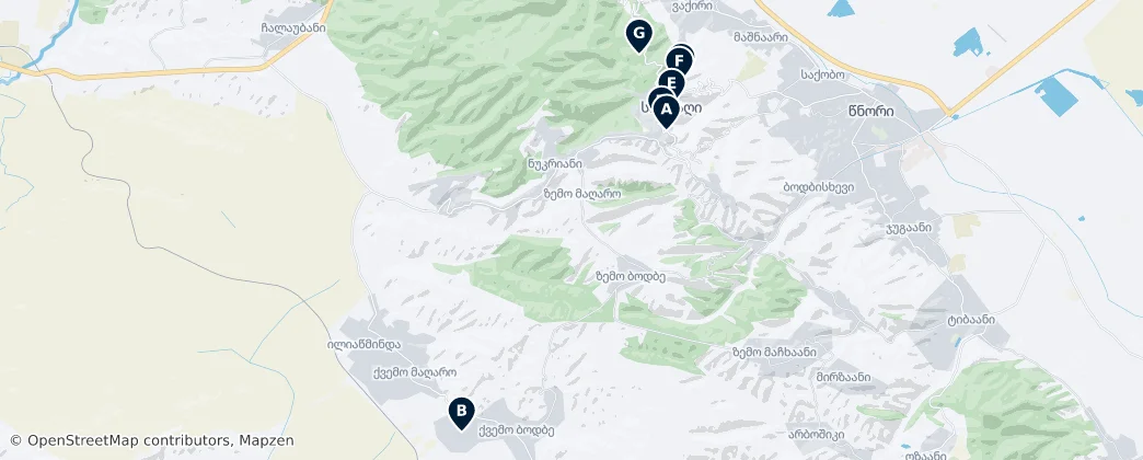 Sighnaghi Essentials – Mapa