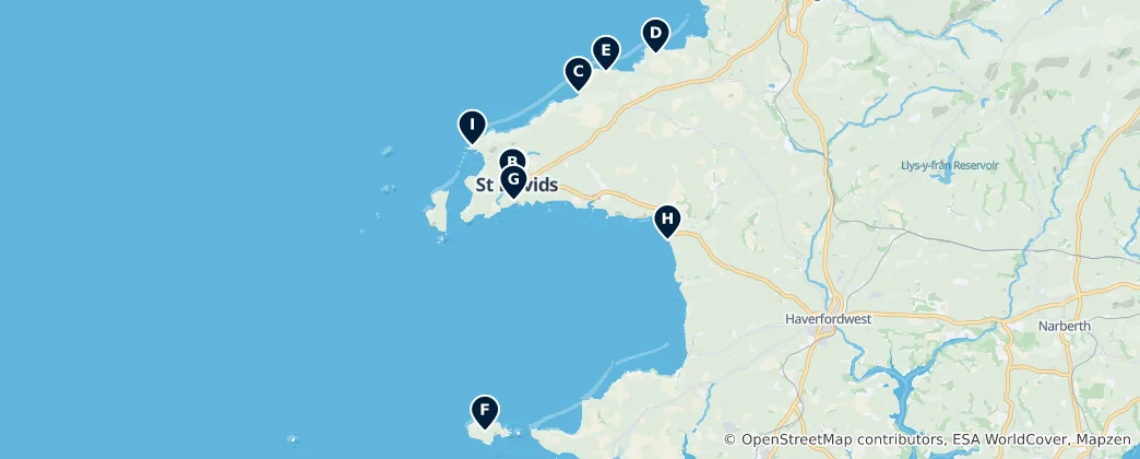 St Davids Essentials 地图