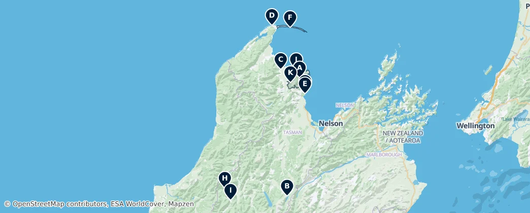 Tasman Region Essentials — 지도