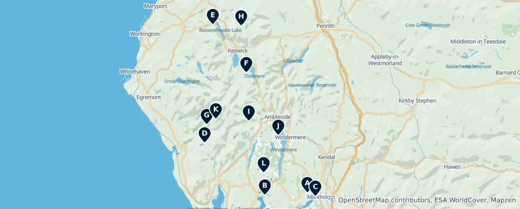 Mapa Natural Wetlands & Bogs