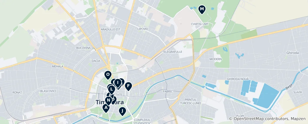 Map of Timișoara Essentials