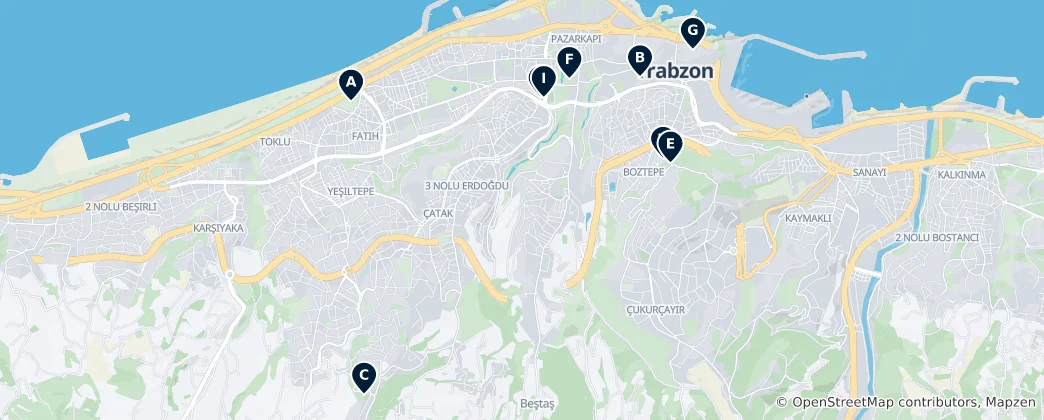 Trabzon's Unmissable Highlights 지도
