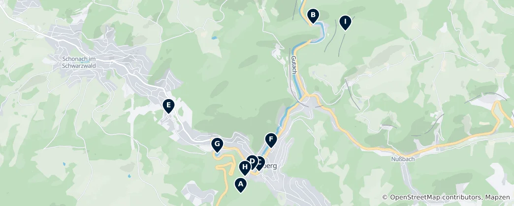 Triberg im Schwarzwald Essentials Haritası