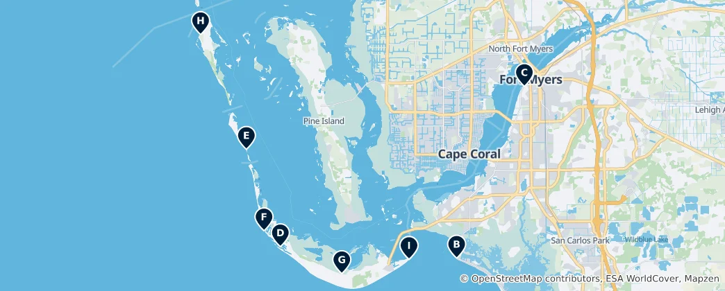Mapa De Lee County's Absolute Essentials