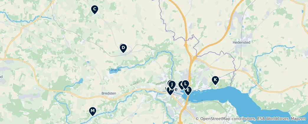 Mappa di Vejle Essentials