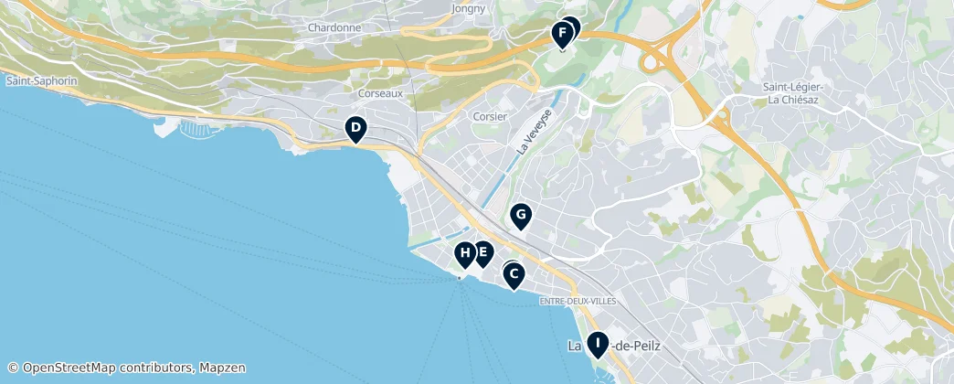 Vevey's Unmissable Gems — Mappa
